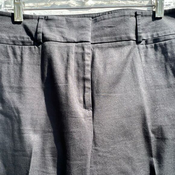 Ann Taylor Factory Curvy Pants - Picture 2 of 9